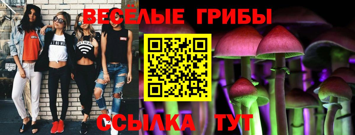 Алушта  Галлюциногенные грибы Cubensis  Вход с VPN 